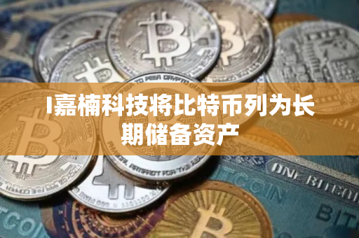 I嘉楠科技将比特币列为长期储备资产