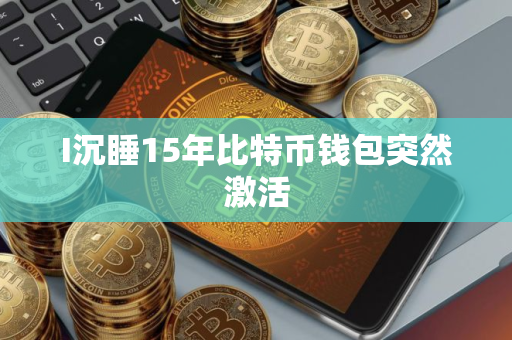 I沉睡15年比特币钱包突然激活