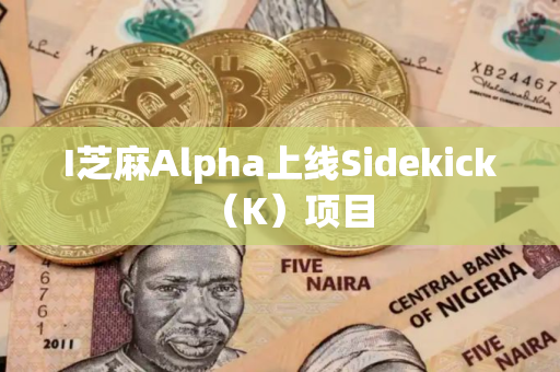 I芝麻Alpha上线Sidekick（K）项目
