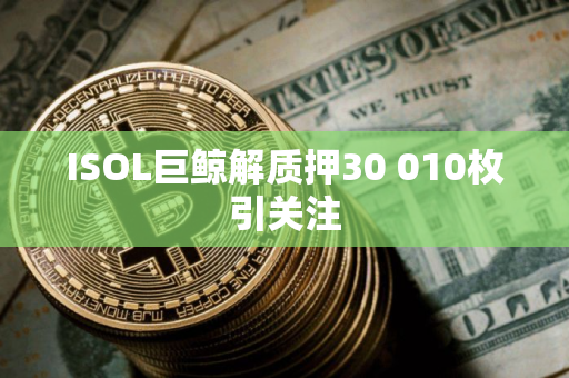 ISOL巨鲸解质押30 010枚引关注