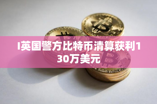 I英国警方比特币清算获利130万美元