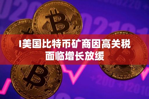 I美国比特币矿商因高关税面临增长放缓