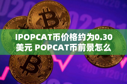 IPOPCAT币价格约为0.30美元 POPCAT币前景怎么样