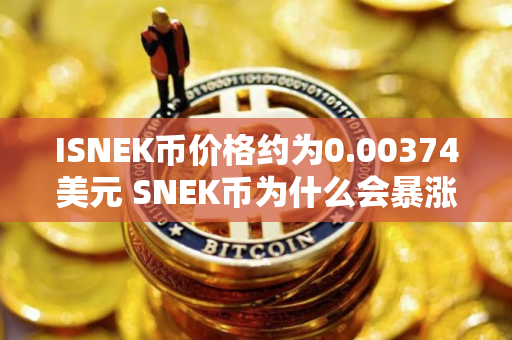 ISNEK币价格约为0.00374美元 SNEK币为什么会暴涨