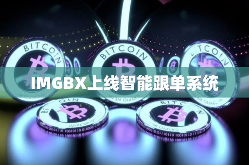 IMGBX上线智能跟单系统