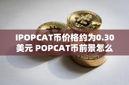 IPOPCAT币价格约为0.30美元 POPCAT币前景怎么样
