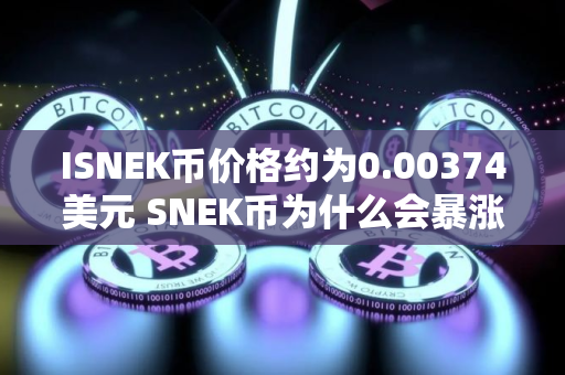 ISNEK币价格约为0.00374美元 SNEK币为什么会暴涨