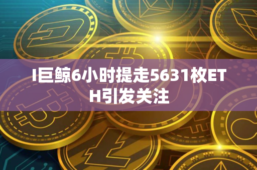 I巨鲸6小时提走5631枚ETH引发关注