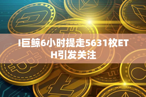 I巨鲸6小时提走5631枚ETH引发关注
