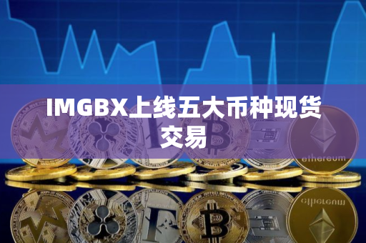 IMGBX上线五大币种现货交易