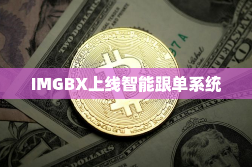 IMGBX上线智能跟单系统