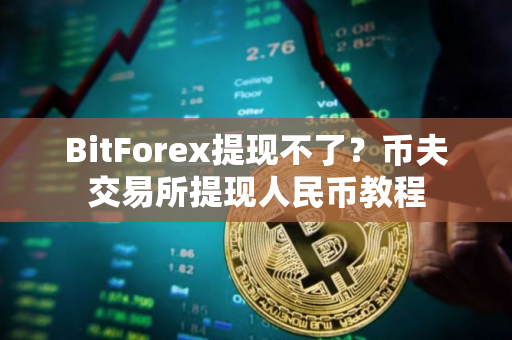 BitForex提现不了？币夫交易所提现人民币教程