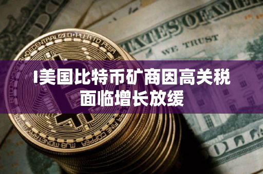 I美国比特币矿商因高关税面临增长放缓