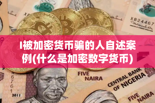 I被加密货币骗的人自述案例(什么是加密数字货币)