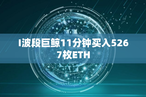 I波段巨鲸11分钟买入5267枚ETH