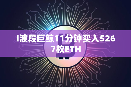I波段巨鲸11分钟买入5267枚ETH