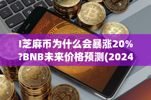 I芝麻币为什么会暴涨20%?BNB未来价格预测(2024-2030)