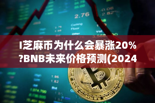 I芝麻币为什么会暴涨20%?BNB未来价格预测(2024-2030)