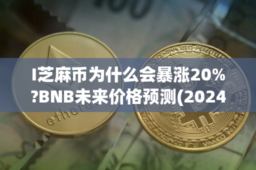 I芝麻币为什么会暴涨20%?BNB未来价格预测(2024-2030)
