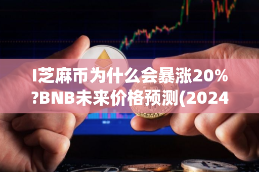 I芝麻币为什么会暴涨20%?BNB未来价格预测(2024-2030)