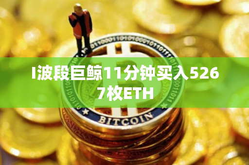 I波段巨鲸11分钟买入5267枚ETH