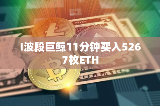 I波段巨鲸11分钟买入5267枚ETH