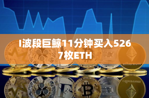 I波段巨鲸11分钟买入5267枚ETH