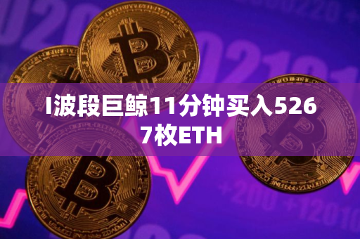 I波段巨鲸11分钟买入5267枚ETH