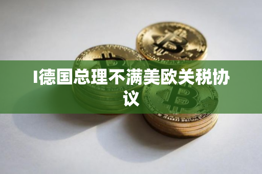 I德国总理不满美欧关税协议