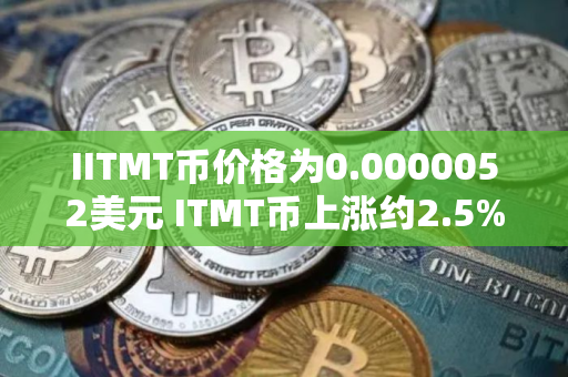 IITMT币价格为0.0000052美元 ITMT币上涨约2.5%