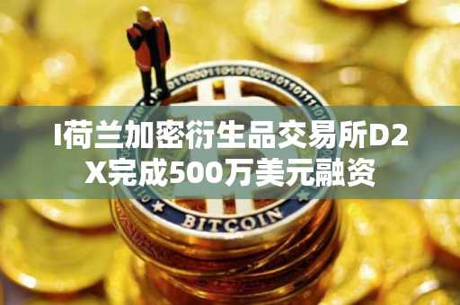 I荷兰加密衍生品交易所D2X完成500万美元融资