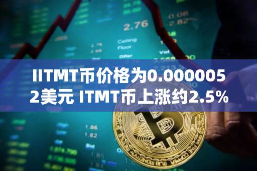 IITMT币价格为0.0000052美元 ITMT币上涨约2.5%
