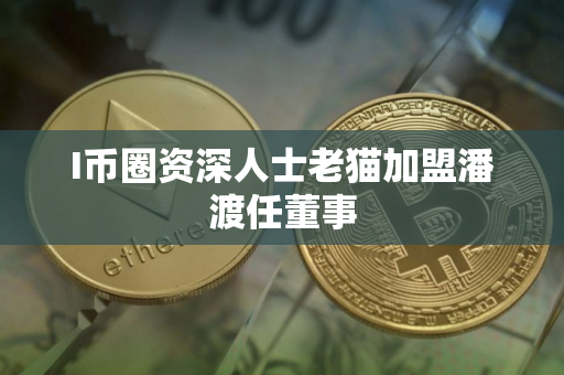 I币圈资深人士老猫加盟潘渡任董事