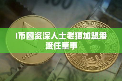 I币圈资深人士老猫加盟潘渡任董事