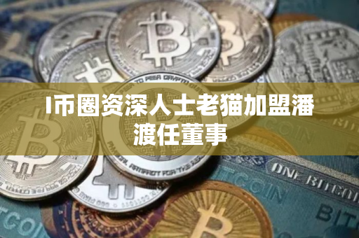 I币圈资深人士老猫加盟潘渡任董事