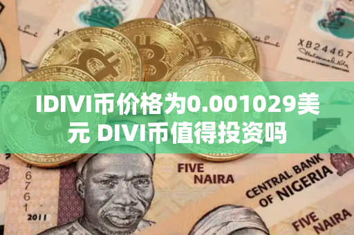 IDIVI币价格为0.001029美元 DIVI币值得投资吗