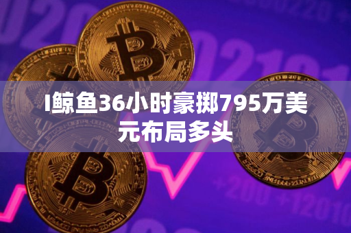 I鲸鱼36小时豪掷795万美元布局多头