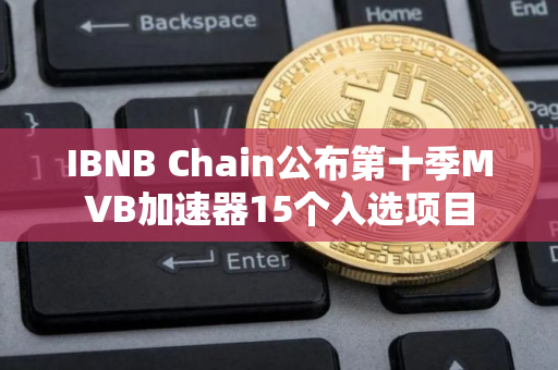 IBNB Chain公布第十季MVB加速器15个入选项目