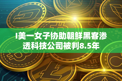 I美一女子协助朝鲜黑客渗透科技公司被判8.5年