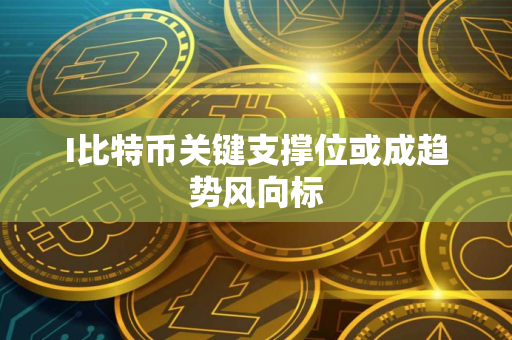 I比特币关键支撑位或成趋势风向标 I比特币关键支撑位或成趋势风向标
