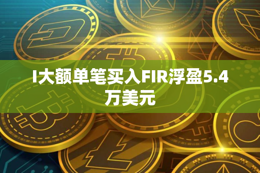I大额单笔买入FIR浮盈5.4万美元