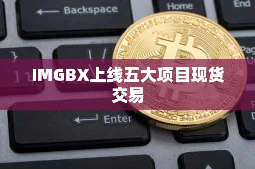 IMGBX上线五大项目现货交易