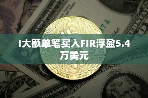 I大额单笔买入FIR浮盈5.4万美元 I大额单笔买入FIR浮盈5.4万美元
