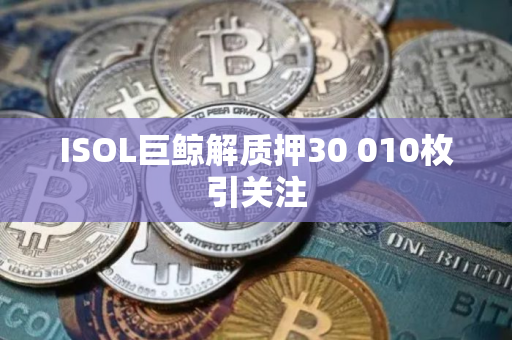 ISOL巨鲸解质押30 010枚引关注