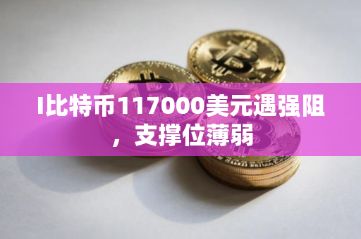 I比特币117000美元遇强阻，支撑位薄弱
