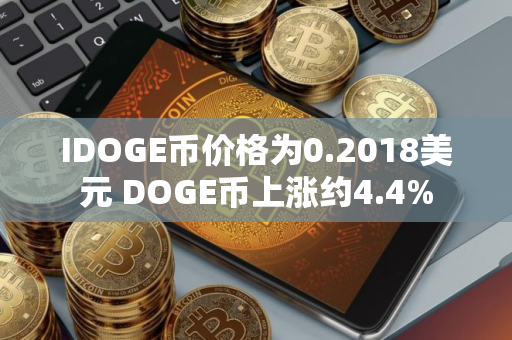 IDOGE币价格为0.2018美元 DOGE币上涨约4.4%
