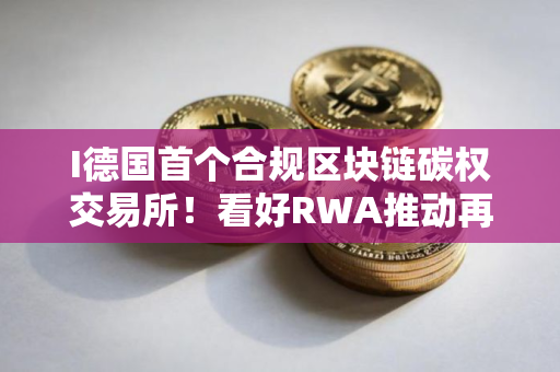 I德国首个合规区块链碳权交易所！看好RWA推动再生能源市场