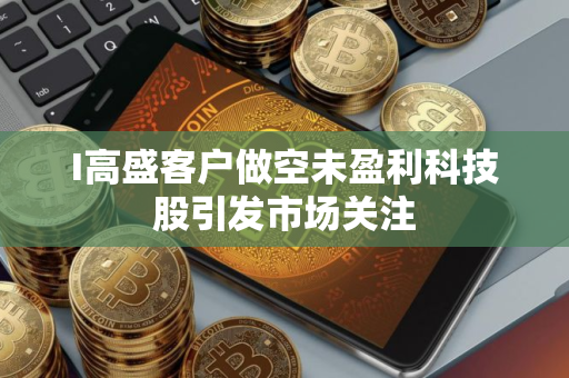 I高盛客户做空未盈利科技股引发市场关注