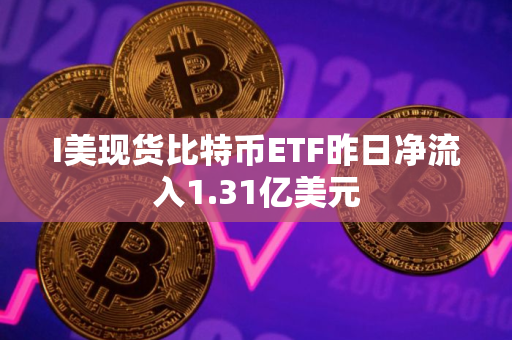 I美现货比特币ETF昨日净流入1.31亿美元