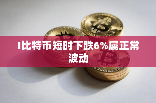 I比特币短时下跌6%属正常波动